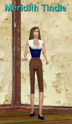 Meridith Tindle