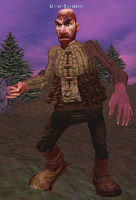 Miner Bordakn