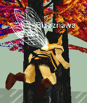 Bizzznawa