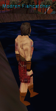 Modren Fishcatcher