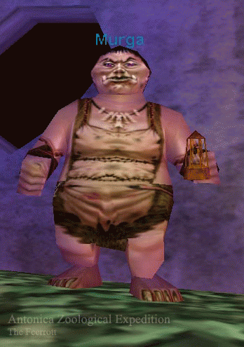 Murga