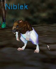 Niblek