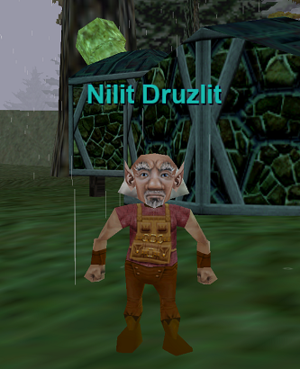 Nilit Druzlit