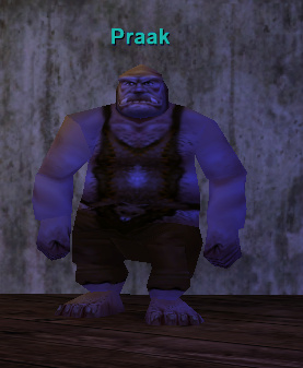 Praak