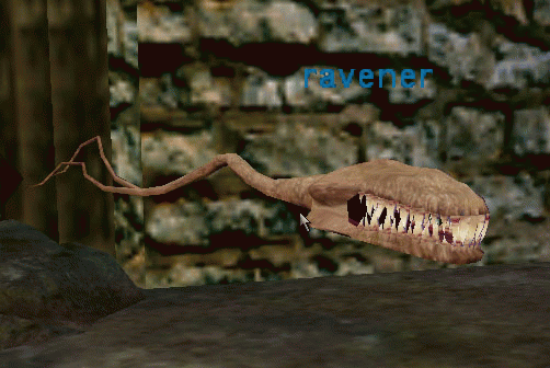 Ravener