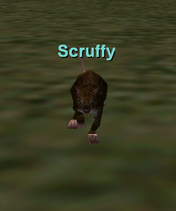 Scruffy