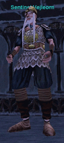 Sentinel Vejleorn