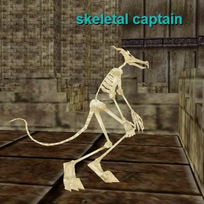 skeletal captain
