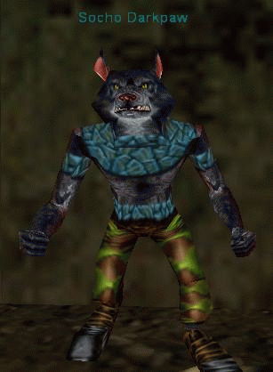 Socho Darkpaw