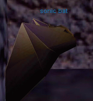 sonic bat
