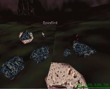 Spinflint