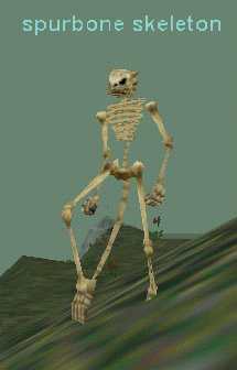 spurbone skeleton