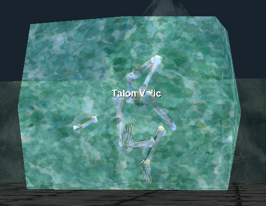 Talon Velic