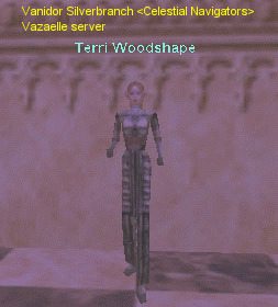 Terri Woodshape