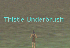 Thistle Underbrush