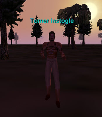 Tomer Instogle