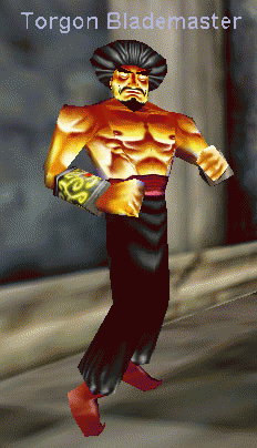 Torgon Blademaster