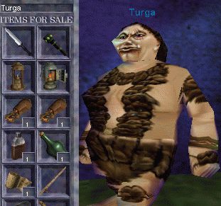 Turga