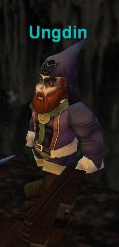 Ungdin