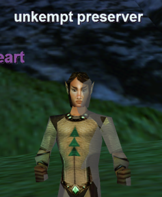 unkempt preserver