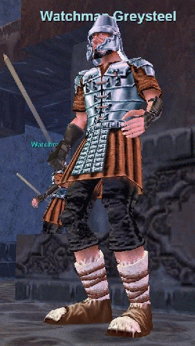 Watchman Greysteel