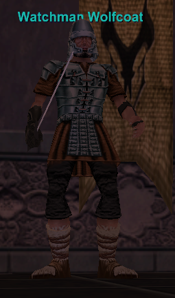 Watchman Wolfcoat