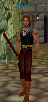 Zamel[1]