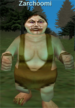 Zarchoomi