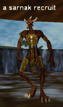 a sarnak recruit