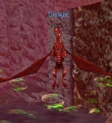 Singe.jpg