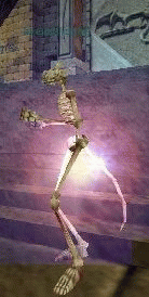 skeletal duke