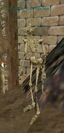 skeletal hierophant