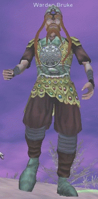 Warden Bruke