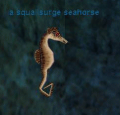 Thumbnail for version as of 17:10, 15 September 2015