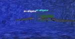 Alligator fight.png