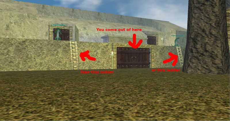 File:Cazic Thule First Ladders.png