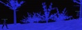 Thumbnail for version as of 14:27, 16 January 2022