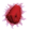 Celestial Fists