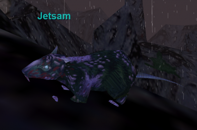 Jetsam