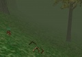 Thumbnail for version as of 14:11, 20 August 2023