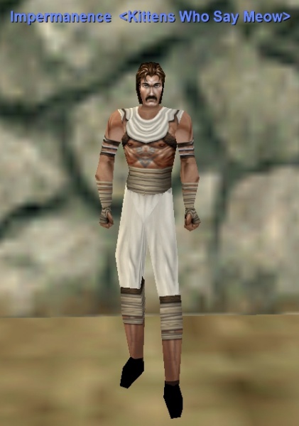 File:Monk skyshrine armor appearance.jpg