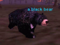 Thumbnail for version as of 04:53, 16 March 2012