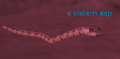 Thumbnail for version as of 00:26, 12 April 2012