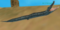 Thumbnail for version as of 18:26, 15 February 2014