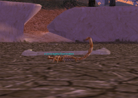 Scourgetail Scorpion