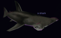 Thumbnail for version as of 09:26, 29 February 2012