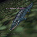 Thumbnail for version as of 16:44, 21 October 2013