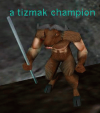 Npc a tizmak champion.png
