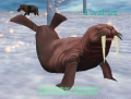 Thumbnail for version as of 16:31, 22 September 2013