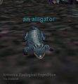 Thumbnail for version as of 23:39, 9 April 2012
